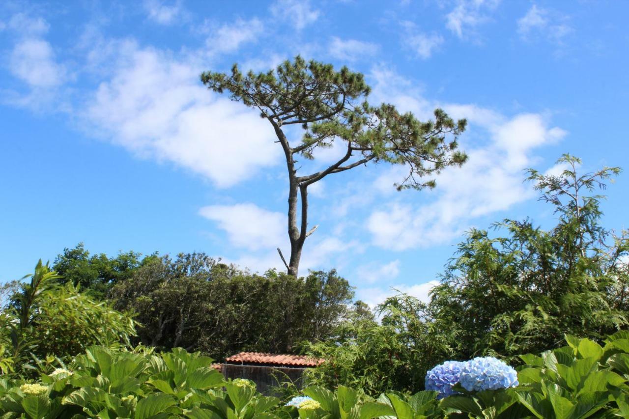 Villa Quinta Do Torreao Capelas Exterior foto